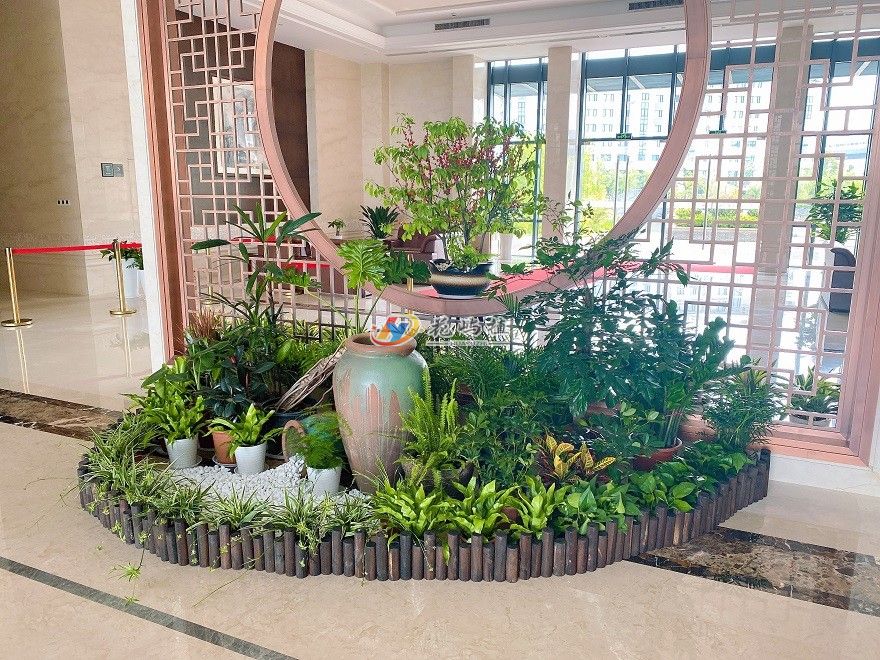宁波海曙企业大厅组合花卉绿植摆放